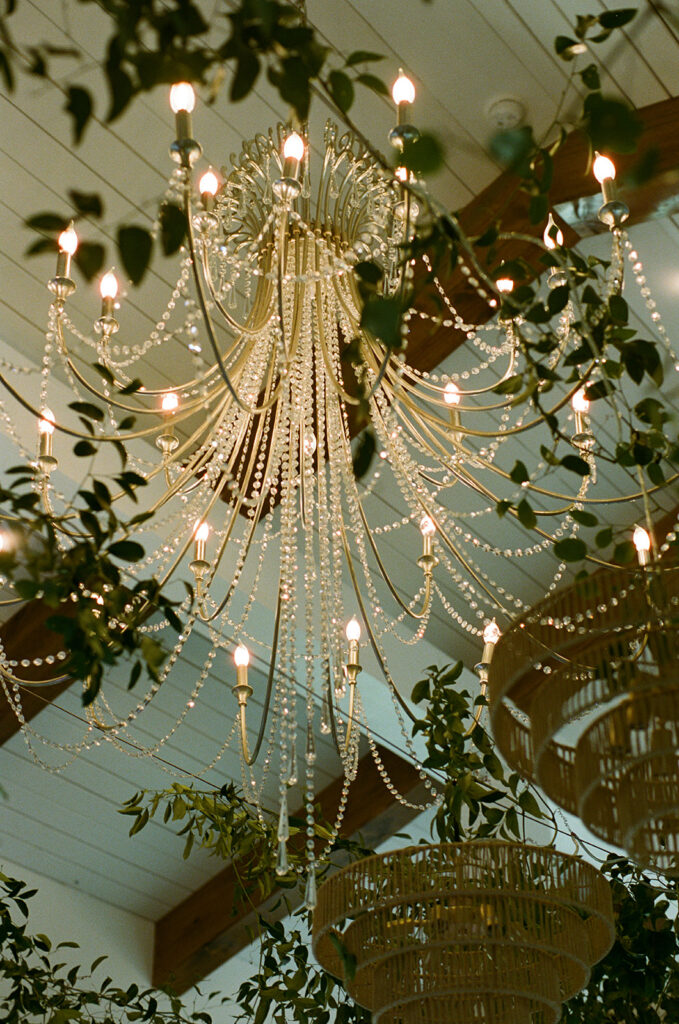 The Videre Estate, a modern Hill Country wedding venue with large windows and natural light
